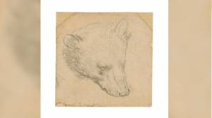 Σε δημοπρασία βγάζει ο οίκος Christie&#039;s το «κεφάλι της αρκούδας» του Ντα Βίντσι