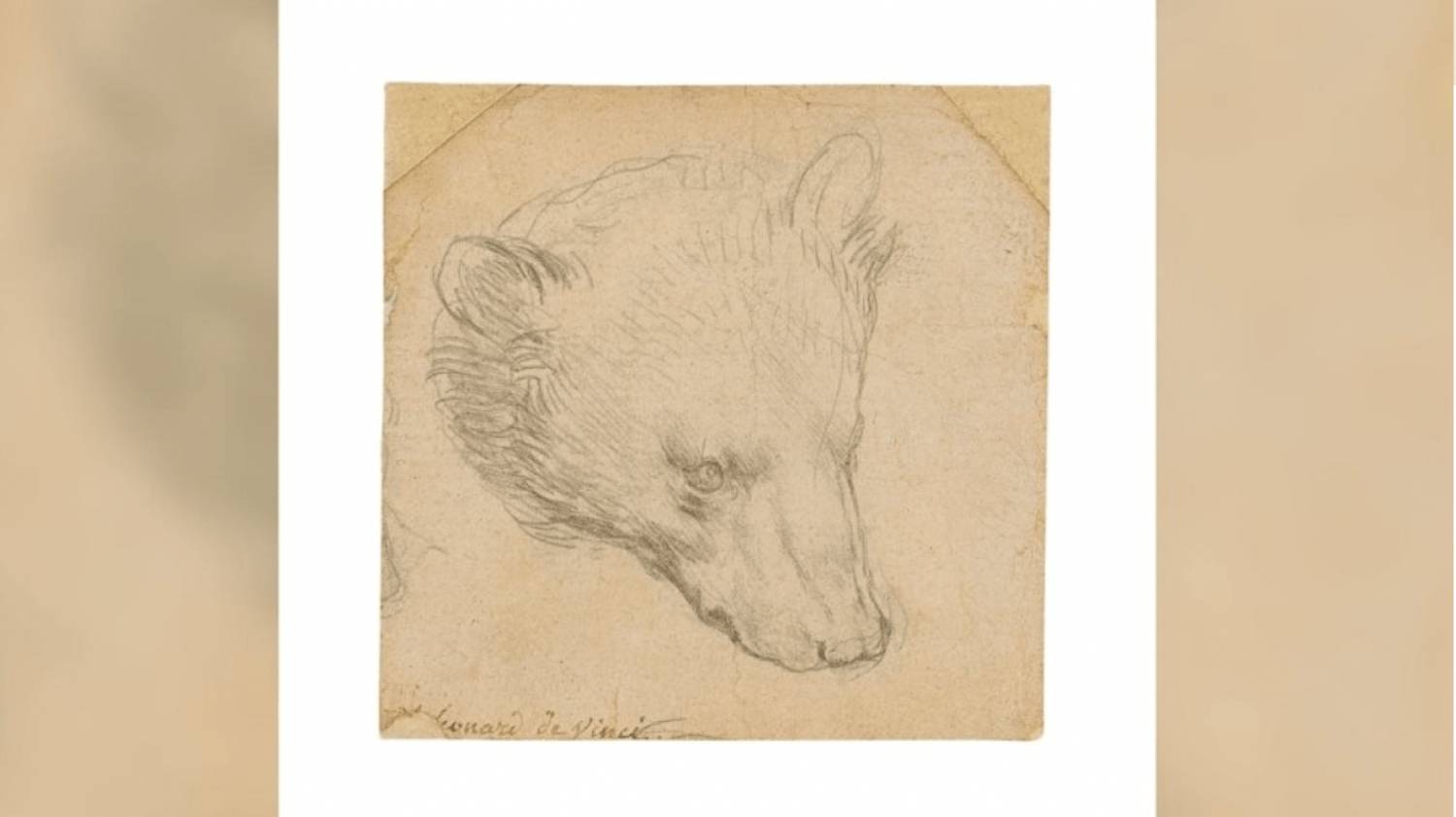 Σε δημοπρασία βγάζει ο οίκος Christie's το «κεφάλι της αρκούδας» του Ντα Βίντσι